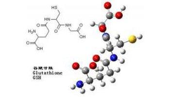 谷胱甘肽是什么？谷胱甘肽的好處和存在形式谷胱甘肽