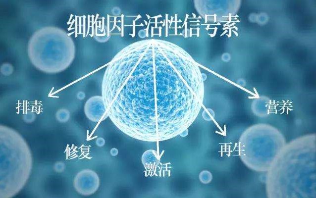 肽的分類有哪些？如何區(qū)分小分子小分子活性肽的好壞