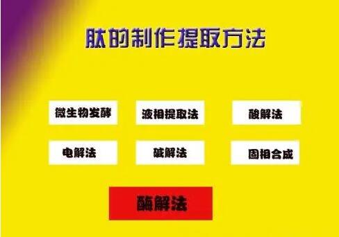 肽的分類有哪些？如何區(qū)分小分子小分子活性肽的好壞