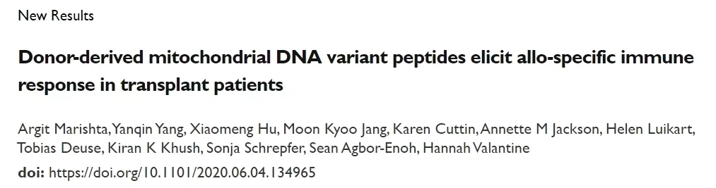 供體線粒體DNA來源于的多肽引起移殖病人的同種異體免疫反應(yīng)