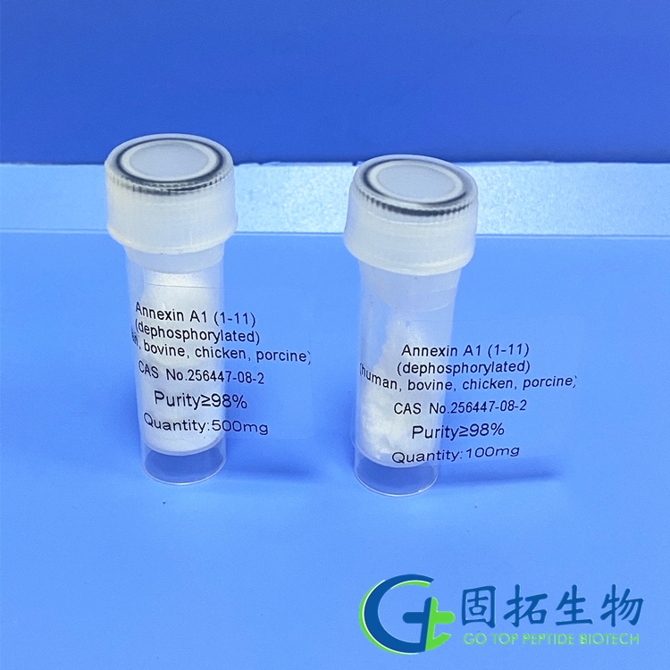 膜聯(lián)蛋白A1（1-11），Annexin A1 (1-11)，256447-08-2