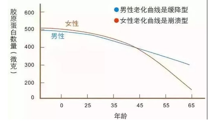 膠原蛋白是啥?？為什么說它很重要？本文給大家答案