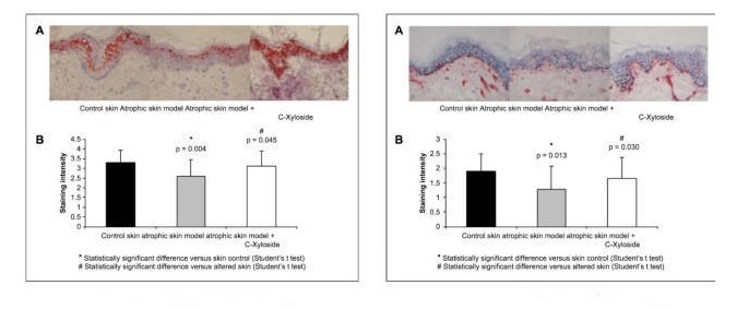 生物學家有關十肽-12decapeptide-12對肌膚調亮系統(tǒng)的科學研究評定