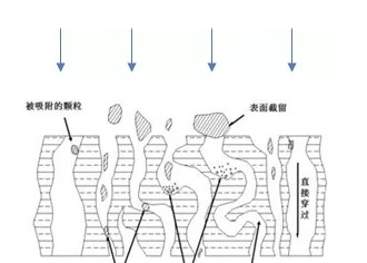 如何提高抗體純化高效率？?今日聊一聊離心、過(guò)濾