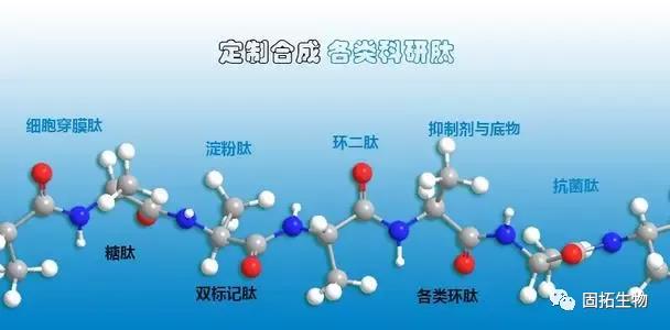 固拓生物-多肽合成為什么要去除TFA？