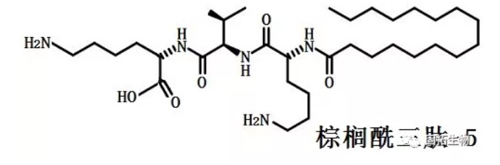 化妝品多肽棕櫚酰三肽-5性質(zhì)、用途與生產(chǎn)工藝