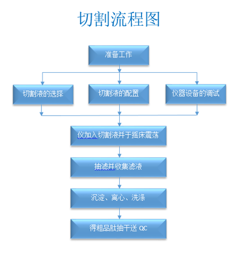 多肽切割有哪些操作規(guī)程？