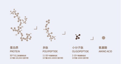 無需氨基酸就能合成多肽，是否有望解釋生命起源？