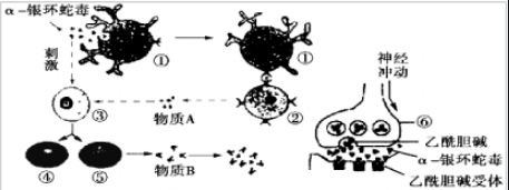 可以轉(zhuǎn)化為動物毒素多肽藥物的幾種常見毒物（1）