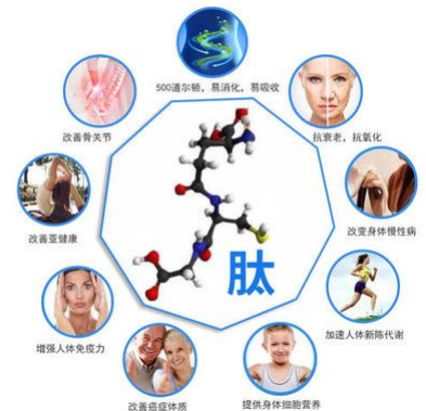 你知道眾所周知的多肽更適用于哪些群體嗎