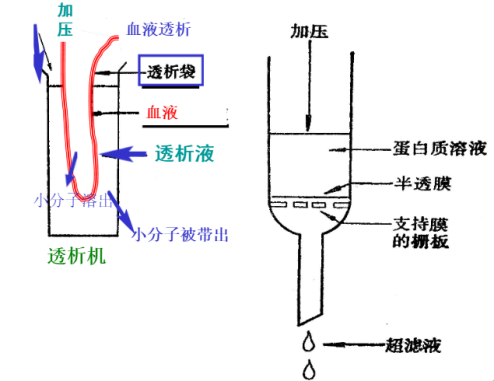 簡(jiǎn)述蛋白質(zhì)、多肽液相色譜純化方法及準(zhǔn)備工作