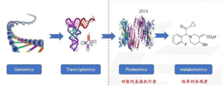 什么是生物標(biāo)志物？如何對多肽進(jìn)行生物標(biāo)志物鑒定？