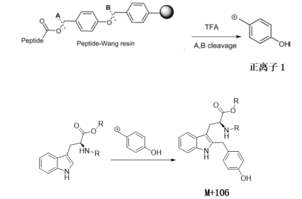 多肽固相合成有哪些常用樹脂？