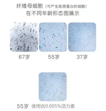 乙?；?7對皮膚的作用機理