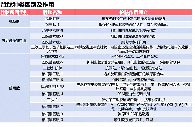 解鎖抗衰老新“肽“度