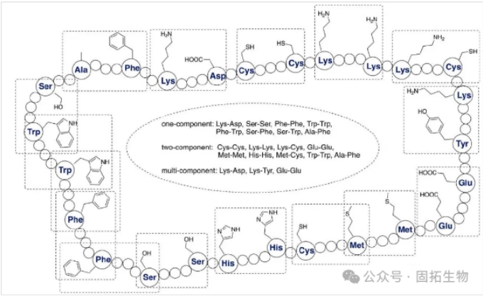 多肽藥物環(huán)化的八種優(yōu)勢(shì)