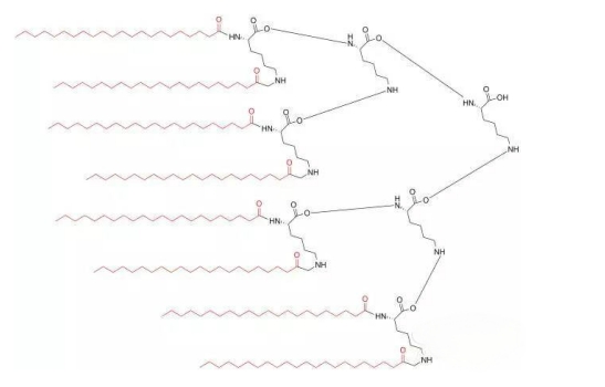 常見3種多聚抗原肽的設(shè)計合成（MAPs）